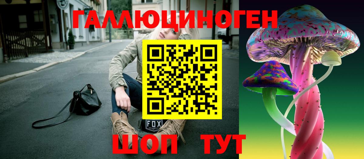 Галлюциногенные грибы Psilocybe  цена   Тверь  Вход с VPN 